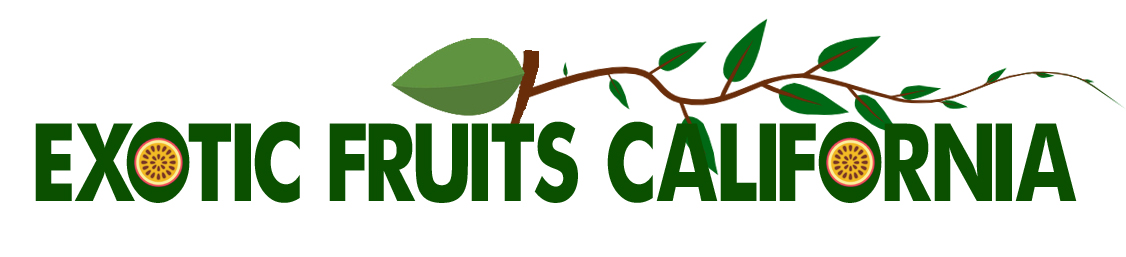 ExoticFruitsCalifornia